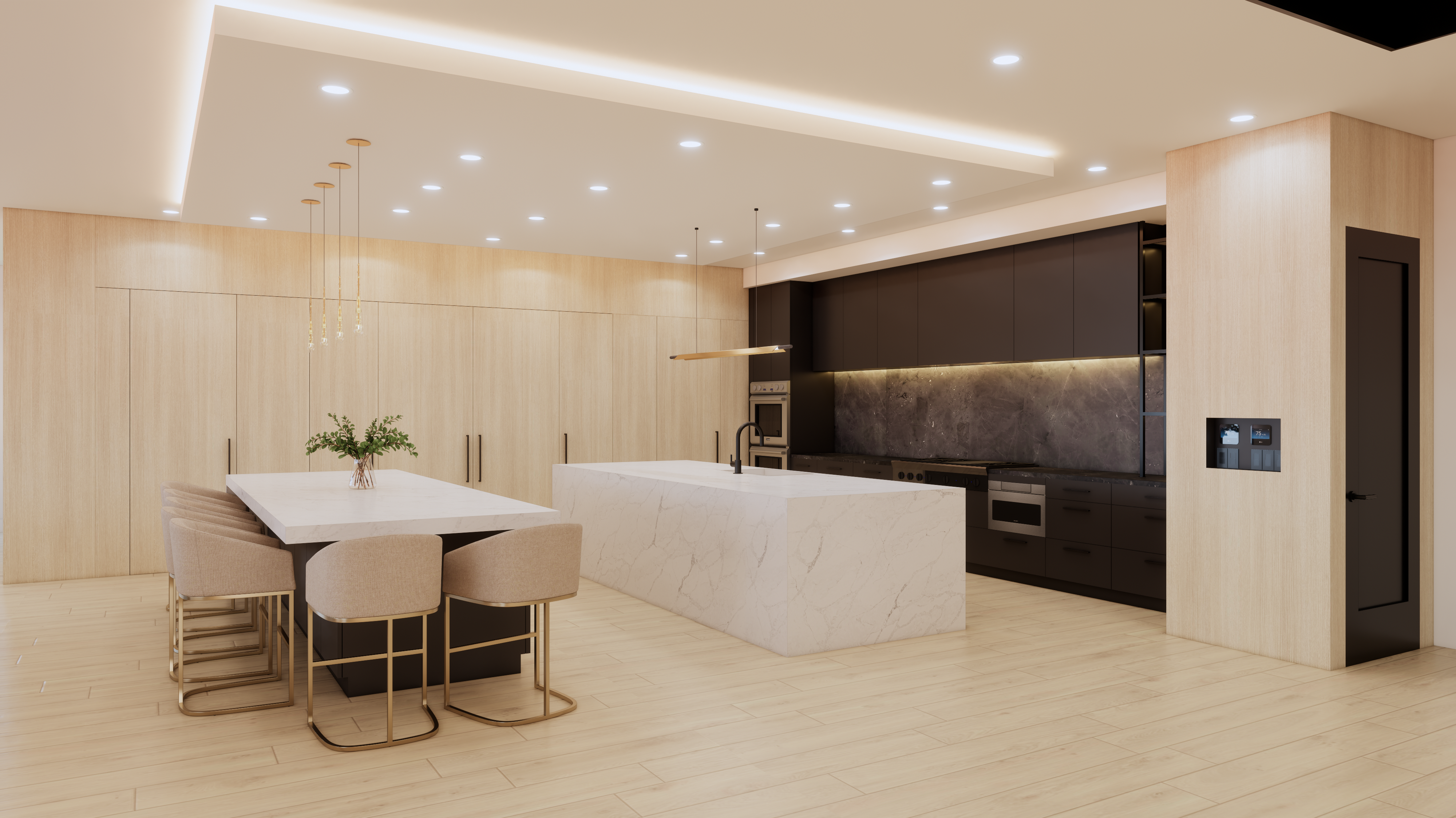 3517 Bayshore Kitchen 1, X